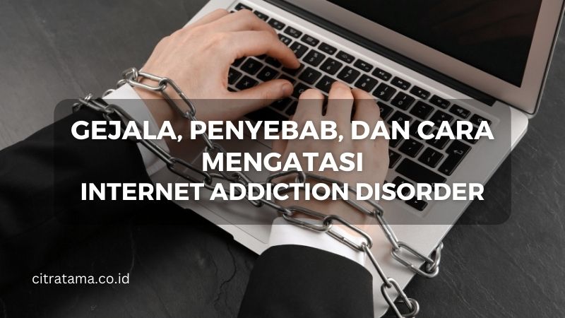 Penyebab Internet Addiction Disorder